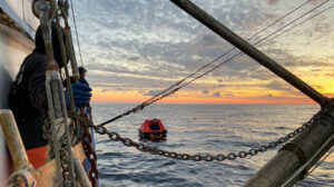 Imagen de referencia de rescate