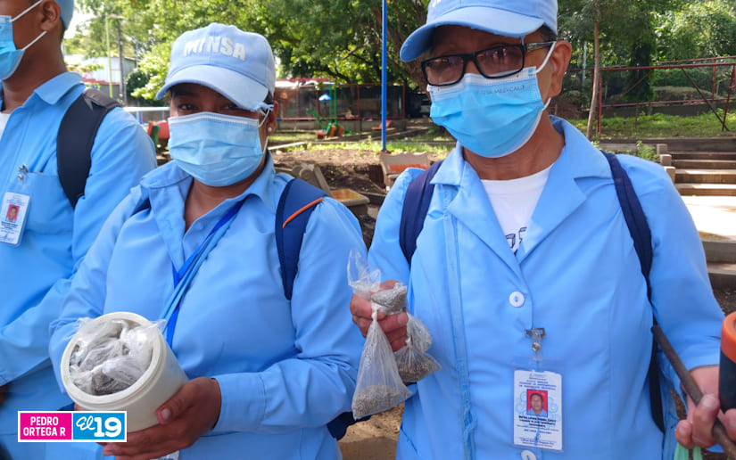 Brigadistas del Minsa en visitas casa a casa