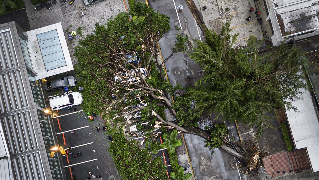 Fuertes temporales provocan caídas de árboles en Caracas