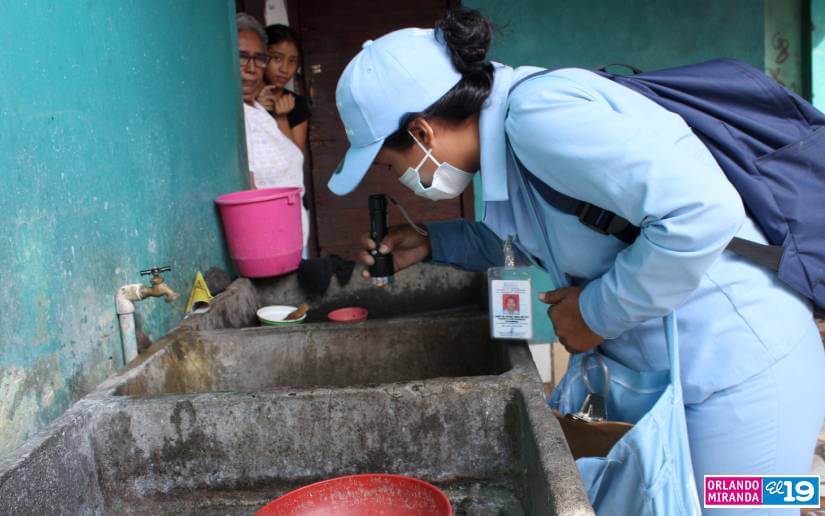 Brigadista abatizando en una vivienda