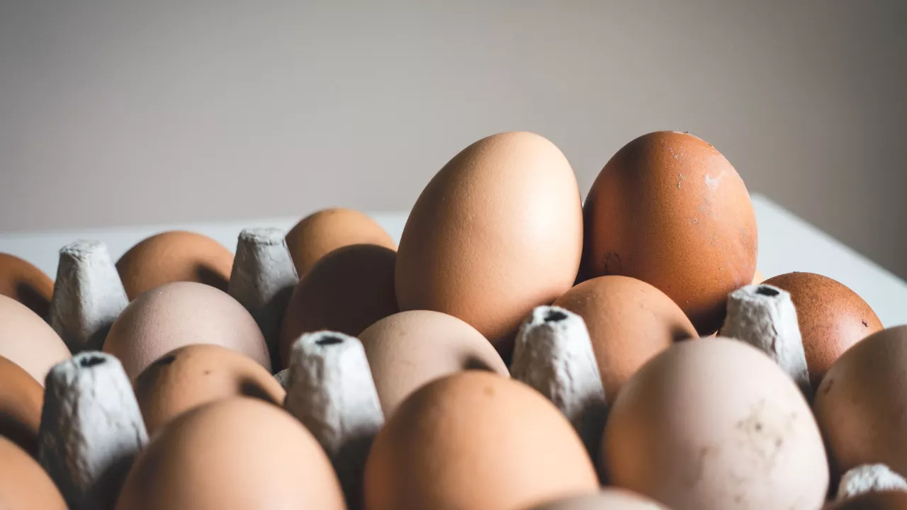¿Cuántos huevos se pueden comer a la semana?, beneficios y peligros