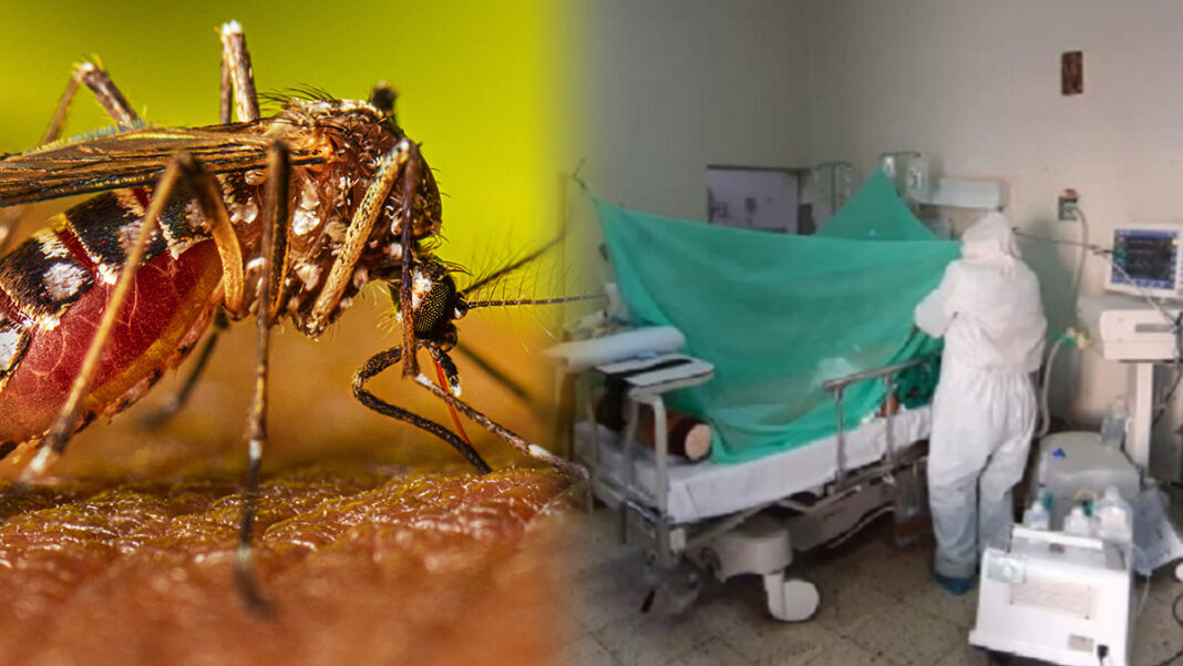Disminuyen casos de dengue y neumonía en la última semana