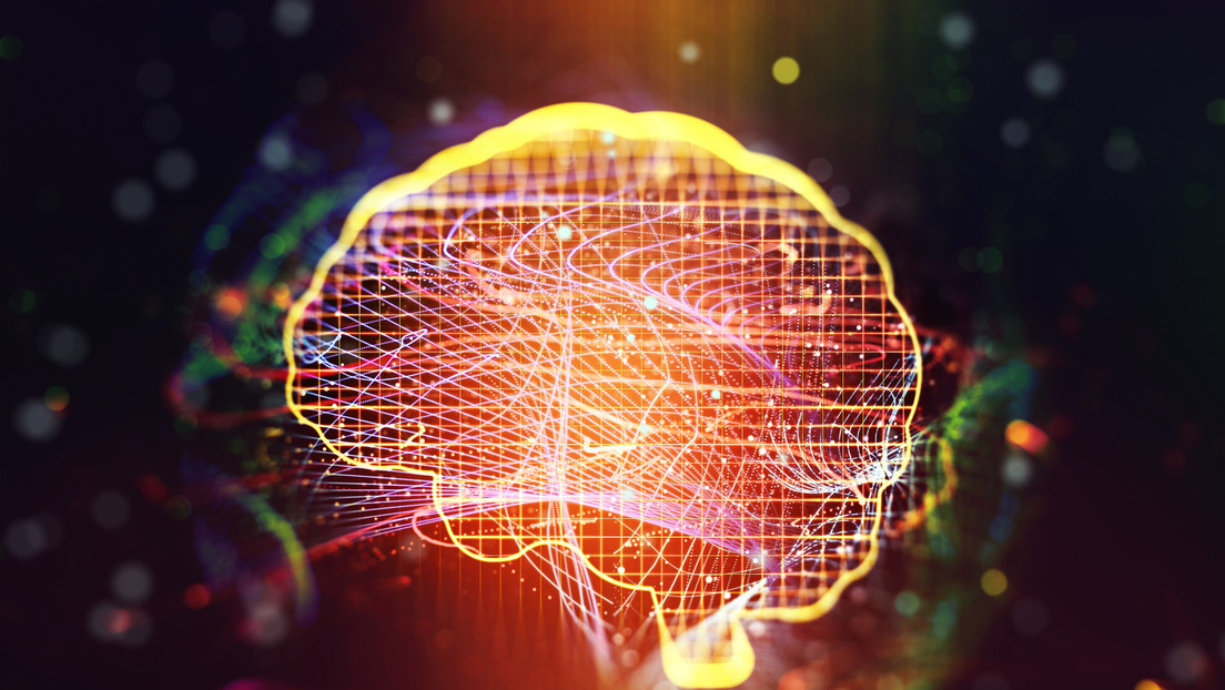 Contradicen la hipótesis de que el cerebro humano puede “reconectarse” luego de una lesión