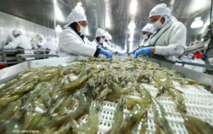 Exportaciones pesqueras