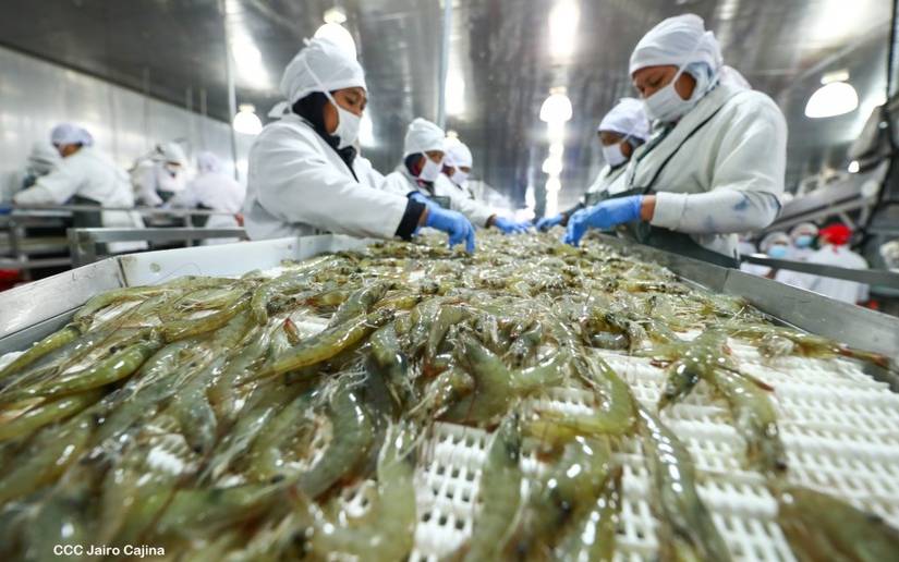 Exportaciones pesqueras