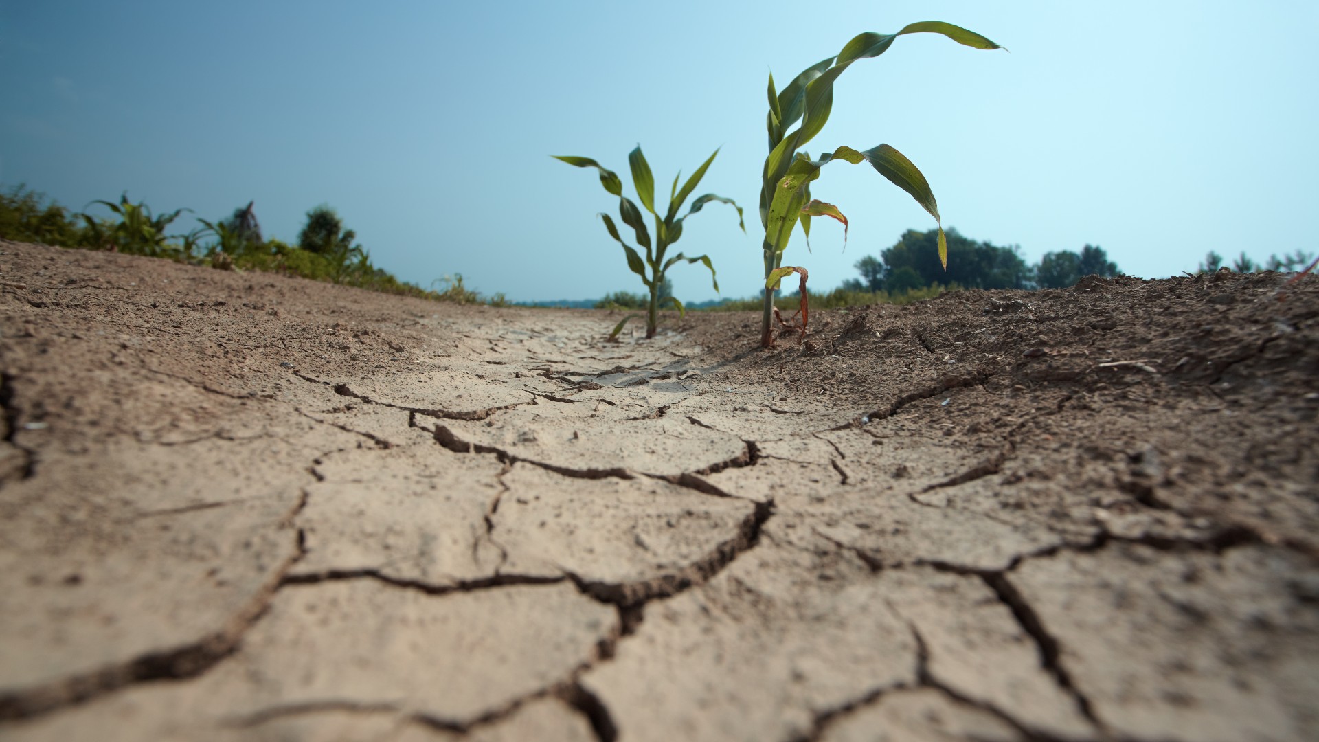 La OMM prevé que El Niño continúe hasta abril, y teme que 2024 sea aún más cálido que 2023