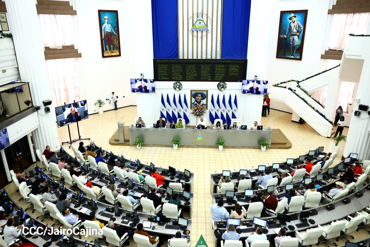 MINT garantizará el orden constitucional de los nicaragüenses