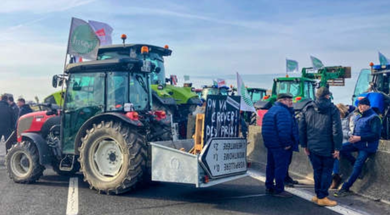 Decenas de detenidos tras irrumpir agricultores en un gran mercado de Francia