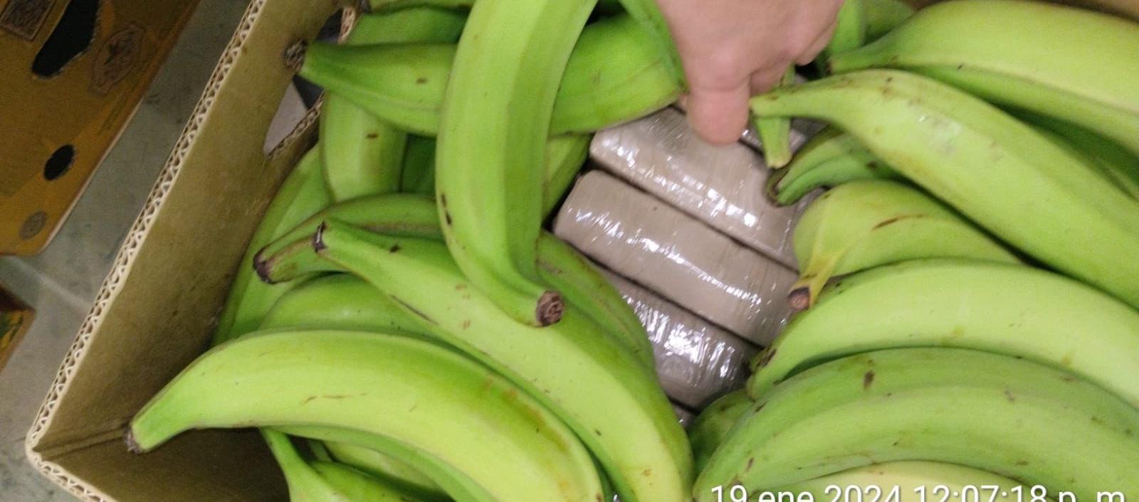 Policía de Colombia incauta 2,6 toneladas de cocaína camuflada en contenedores de plátano y banano