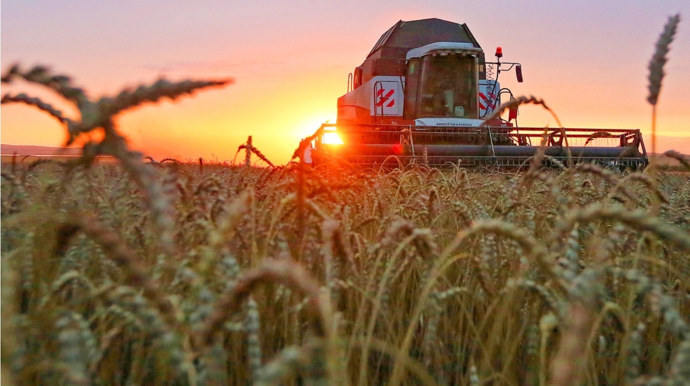 Rusia bate su récord de exportaciones de cereales