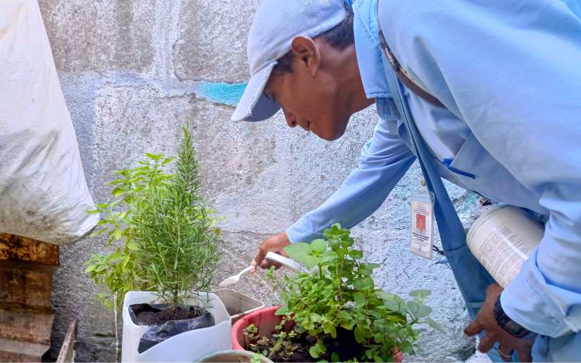 MINSA reitera su compromiso para la prevención de enfermedades vectoriales