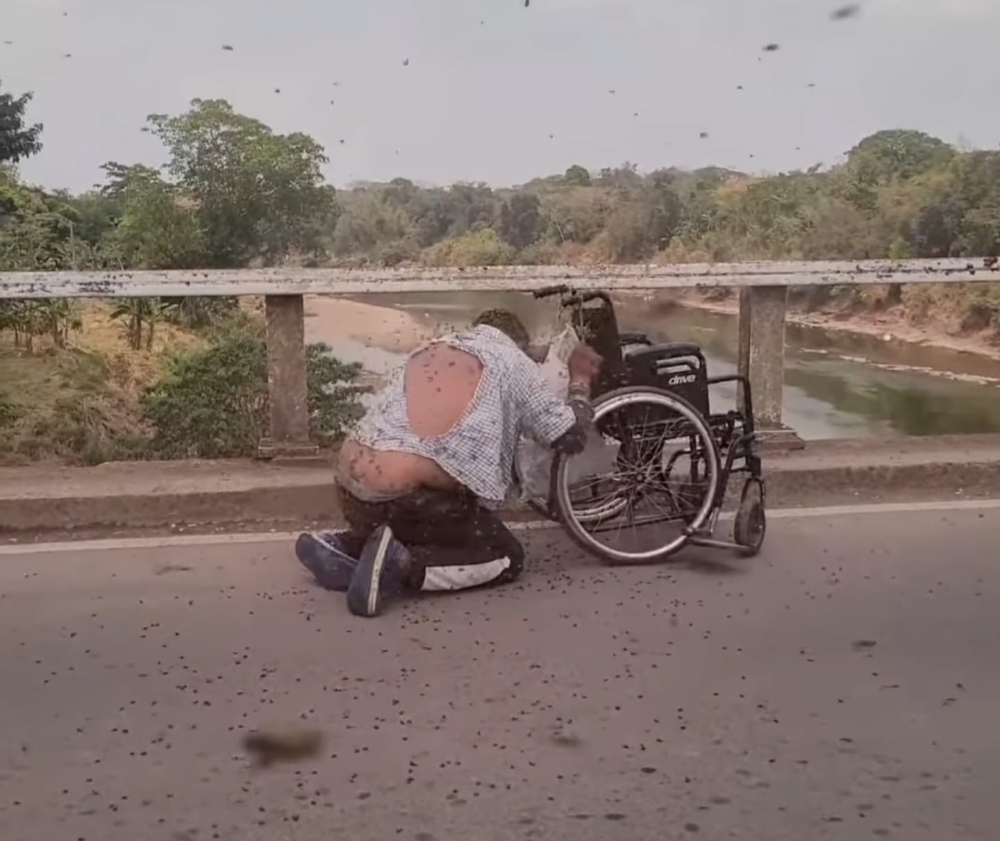 Abejas africanizadas atacan a 6 personas en el Caribe Norte entre ellos a un discapacitado