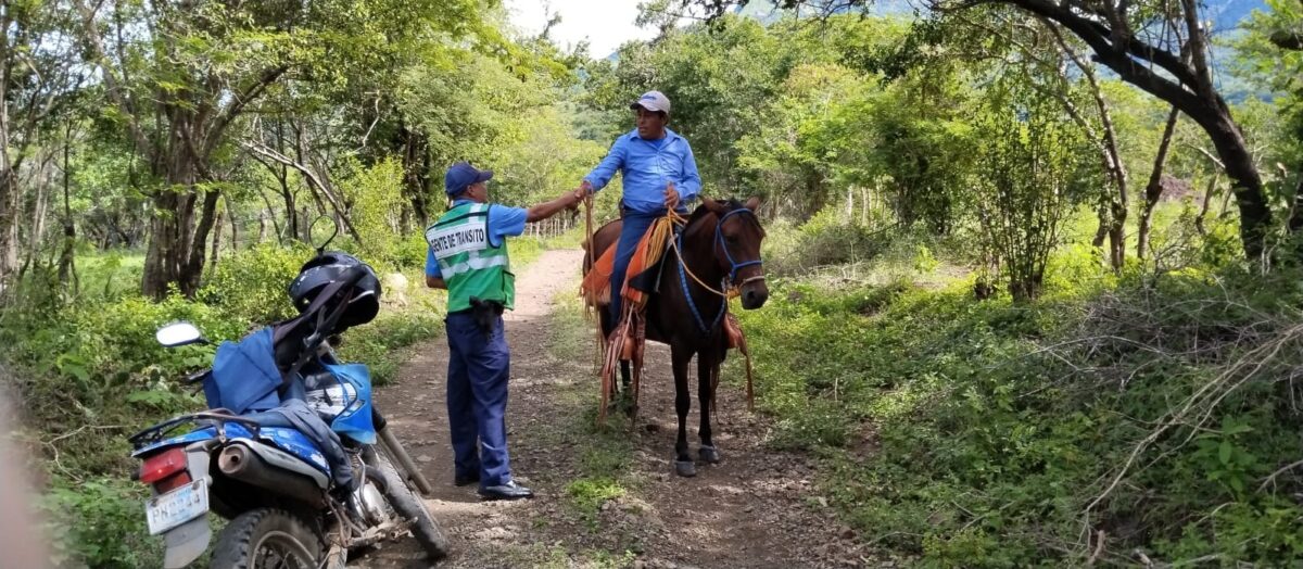 Droga, armas, vehículos y ganado, ocupó la policía a 20 delincuentes en el campo
