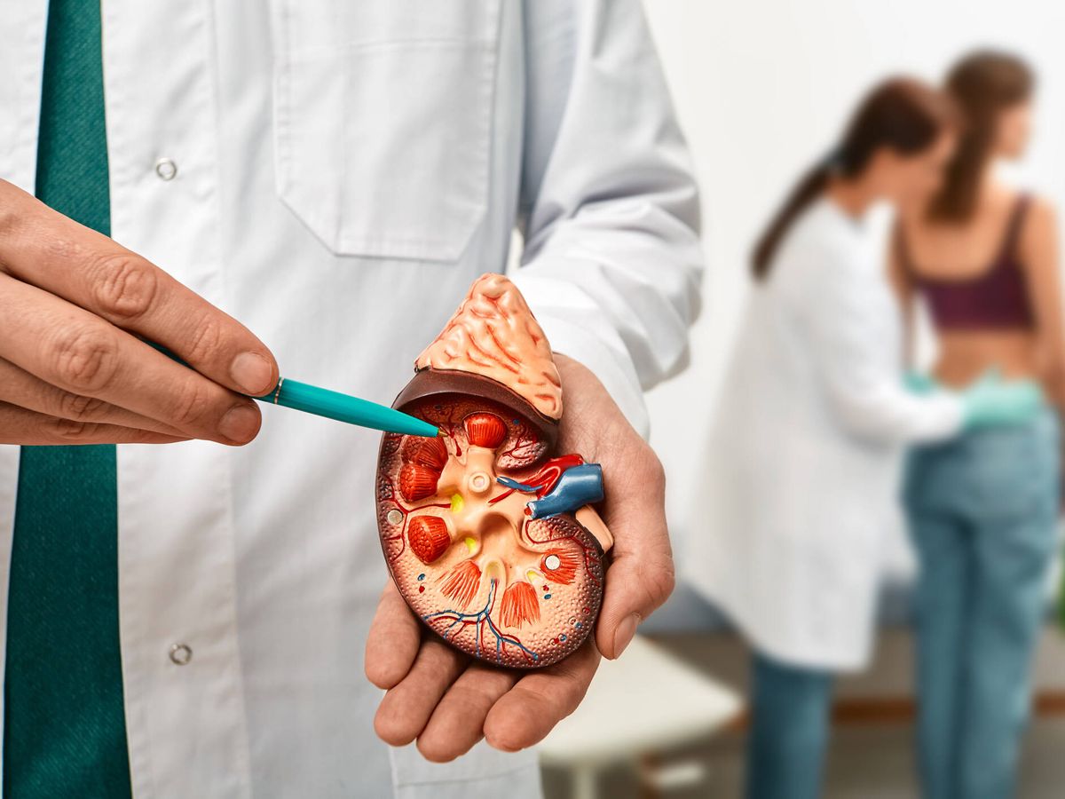 Día Mundial del Riñón: 6 claves para prevenir la enfermedad renal crónica