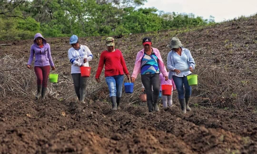 Asueto en Nicaragua por Día Internacional de la Mujer