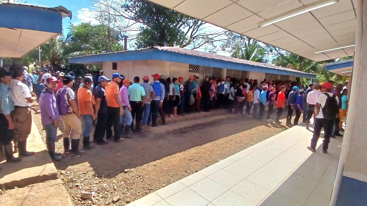 CSE: Caribeños acuden masivamente a ejercer su derecho al voto