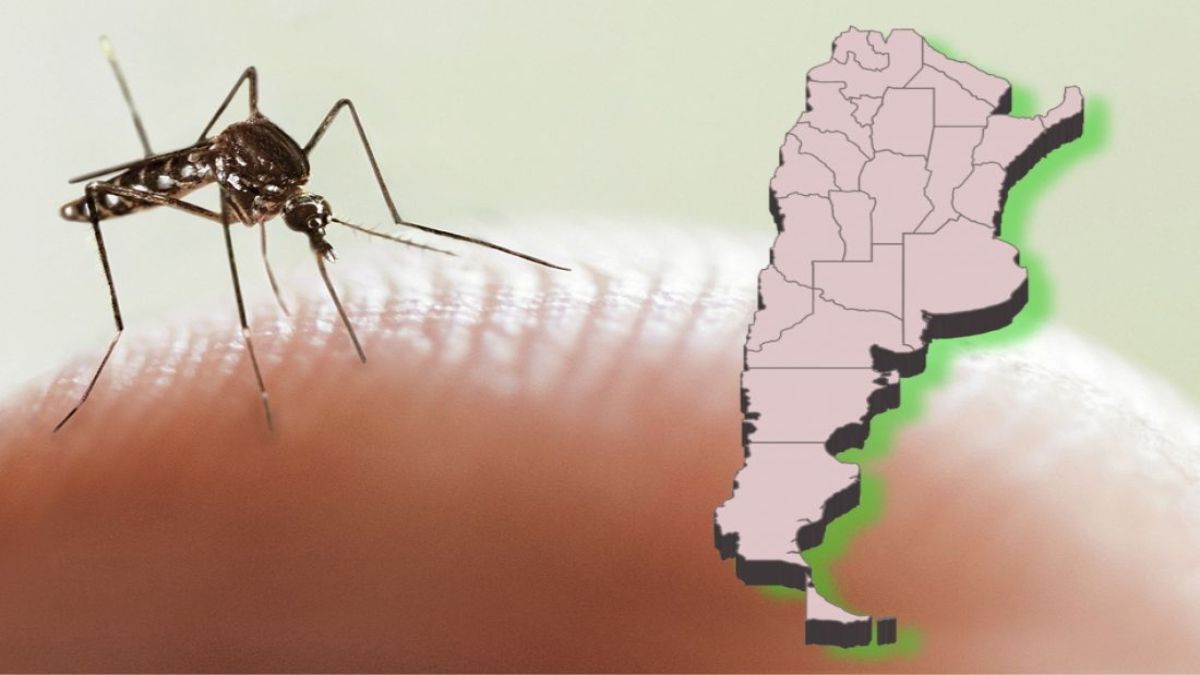 Maduro dice que Venezuela está preparada para ayudar” a Argentina “a combatir el dengue