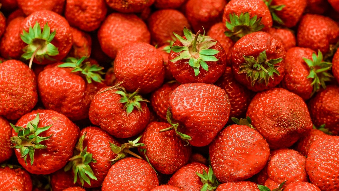Detectan ‘químicos eternos’ en alimentos del Reino Unido