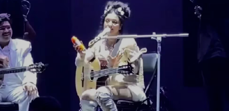 Mon Laferte paró su show en Buenos Aires por la invasión de mosquitos: “Es la primera vez que me pasa”