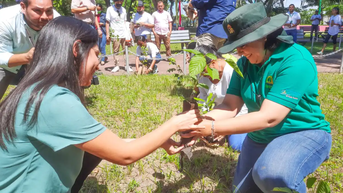 Nicaragua cultivará más de 29 millones de plantas para el cuido y preservación de la Tierra