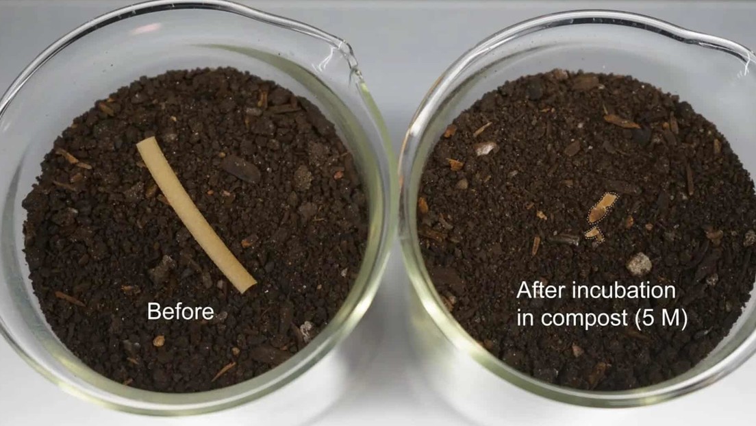 Inventan un ‘plástico vivo’ altamente biodegradable