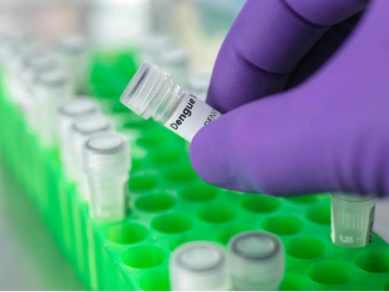 Aumentan a 301 los muertos por el brote de dengue en Argentina
