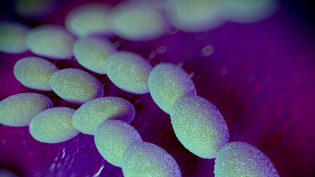 Una bacteria carnívora letal bate el récord de infecciones en este país