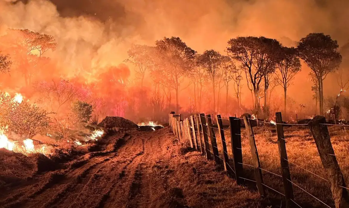 Brasil decreta el estado de emergencia por incendios en el Pantanal