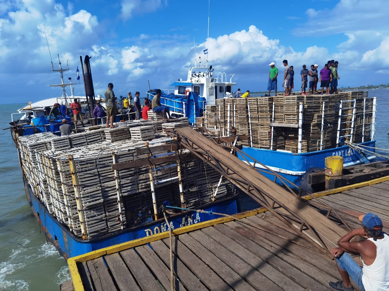 Lanzan temporada de pesca de langosta 2024-2025 en el Caribe