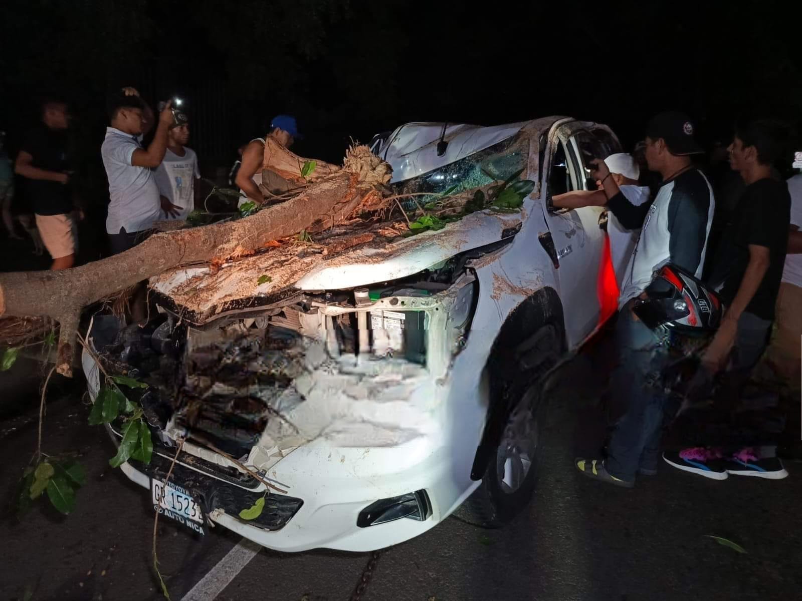 Fatal caída de un árbol mata a un matrimonio que viajaba en una camioneta