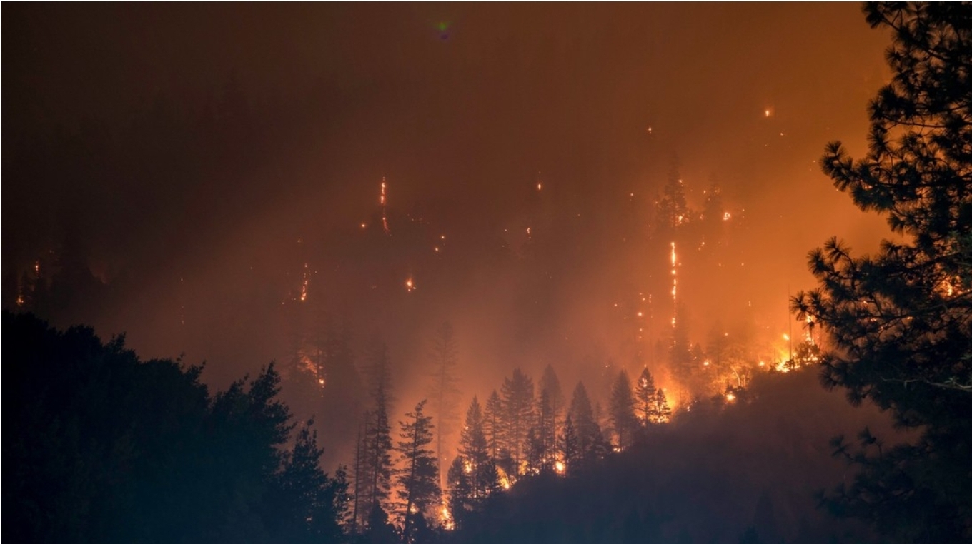 Estudio: El humo de incendios forestales aumenta el riesgo de demencia