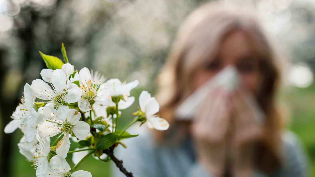 Rusia probará la primera  vacuna contra la alergia en el mundo