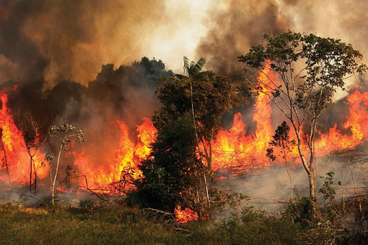 Brasil sospecha que ola de incendios es fruto de una acción criminal orquestada