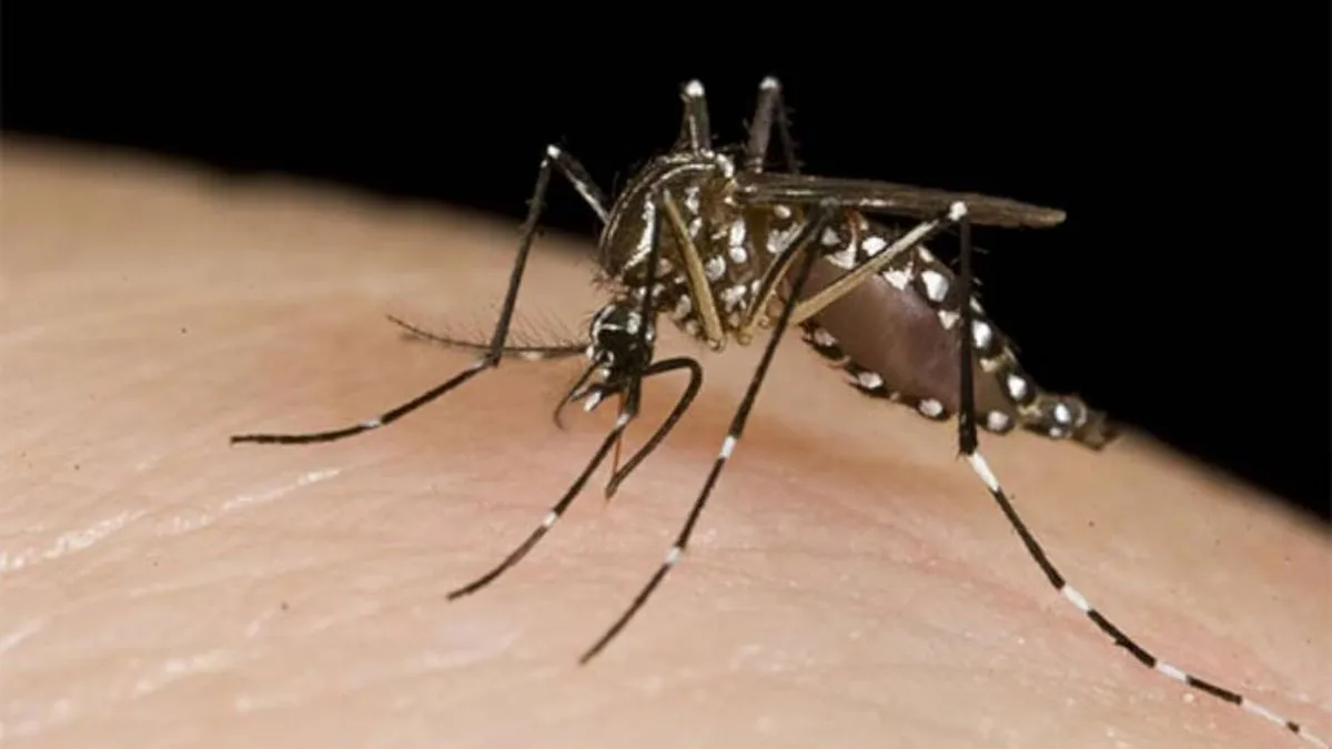 MINSA reporta menos casos de malaria y neumonía durante la última semana  