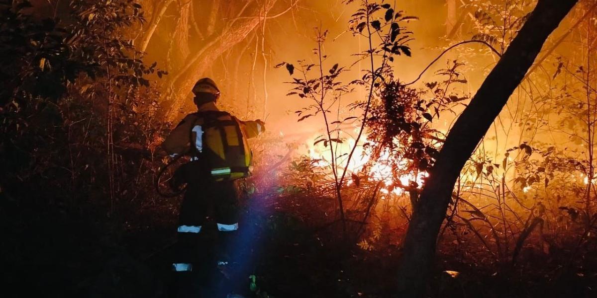 Bolivia declara desastre nacional por incendios forestales