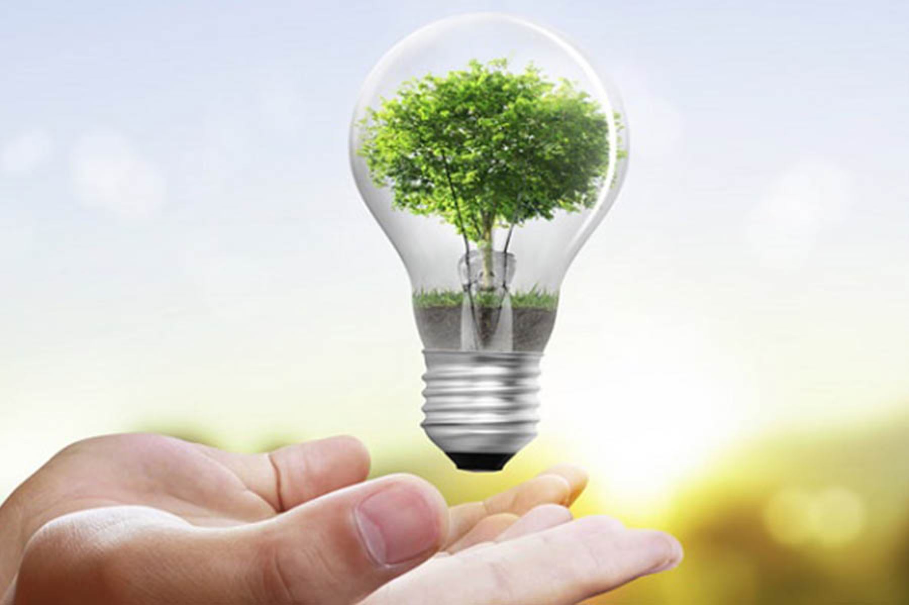 Día Mundial del Ahorro de Energía: Consejos para ahorrar energía