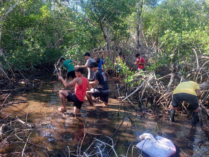 Restauración Marena Mangle