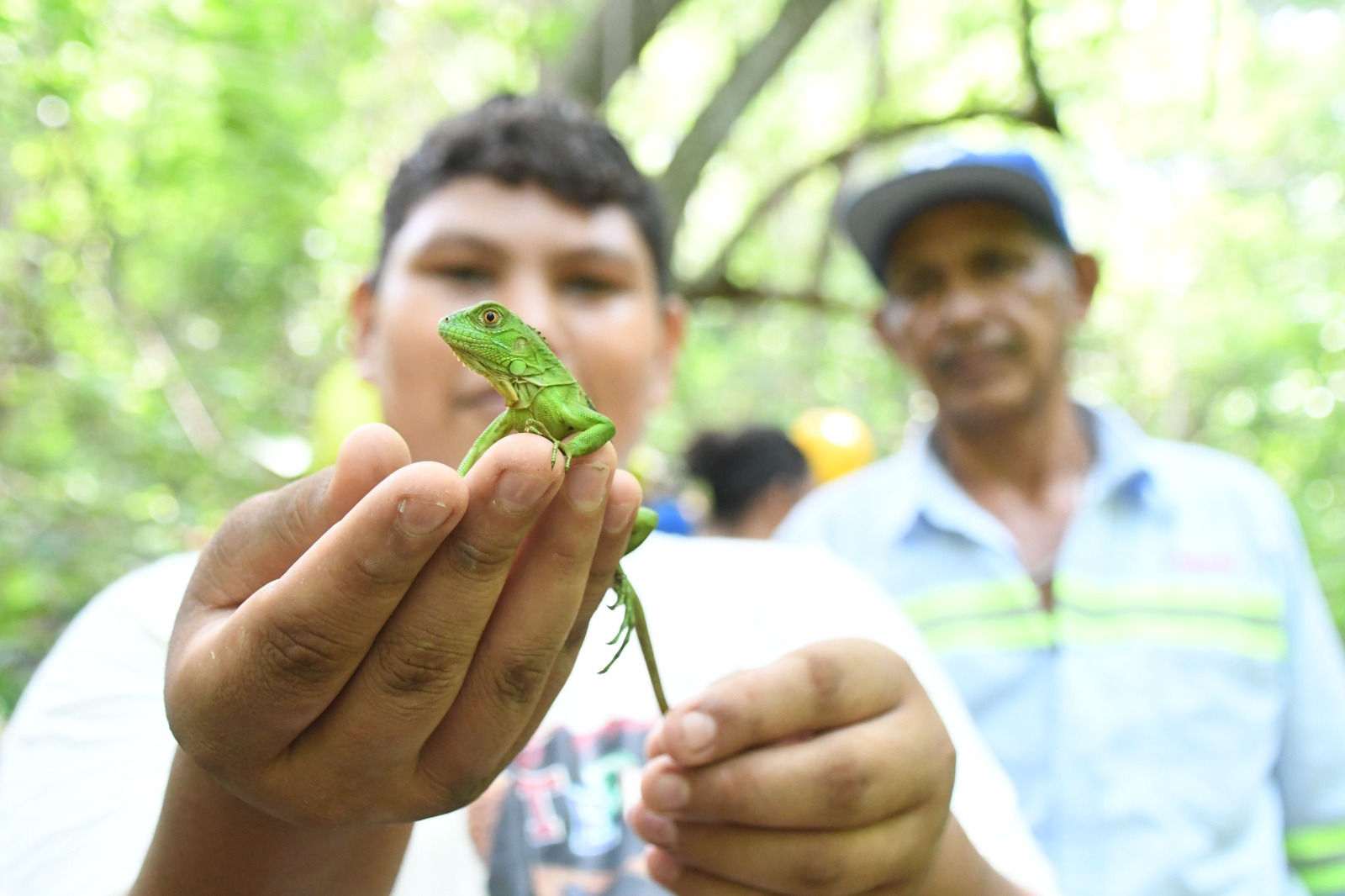 Marena libera 1,179 especies reproducidas en zoocriaderos en 2024