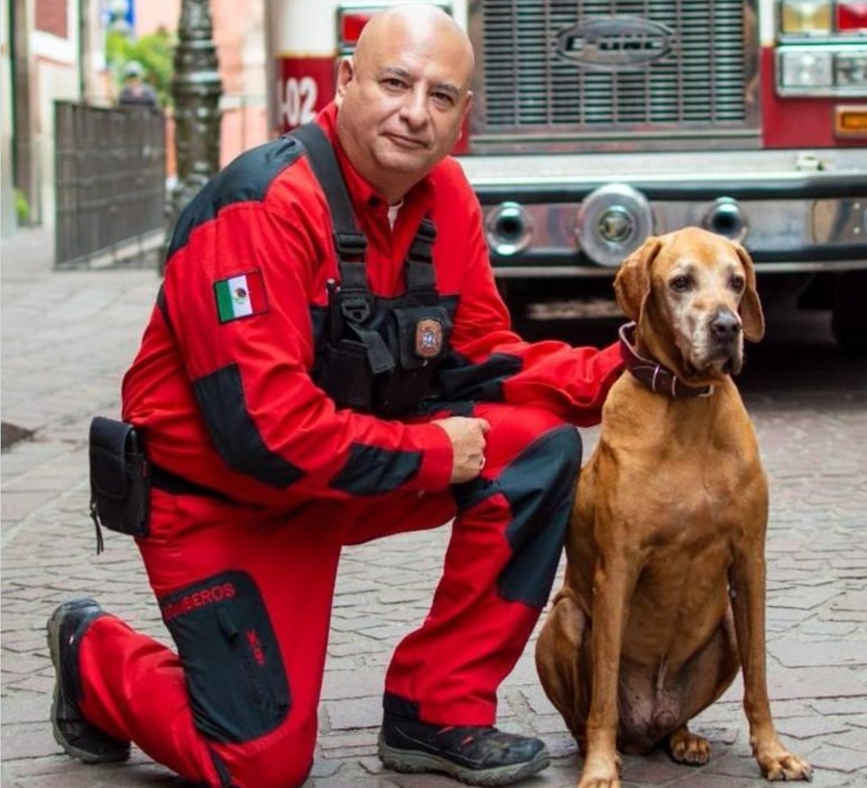 Fallece Titán, el perro rescatista que salvó más de 30 vidas tras el terremoto del 2017 en México