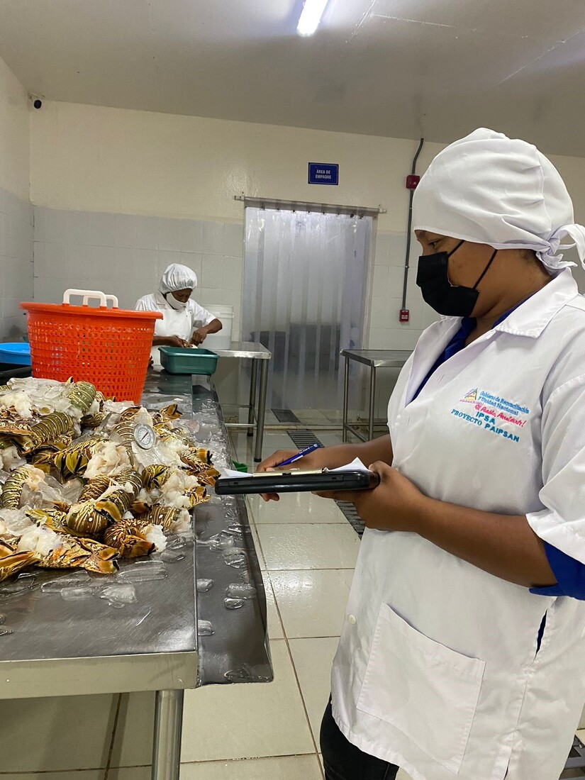 Nicaragua se consolida como proveedor clave de productos acuícolas para China