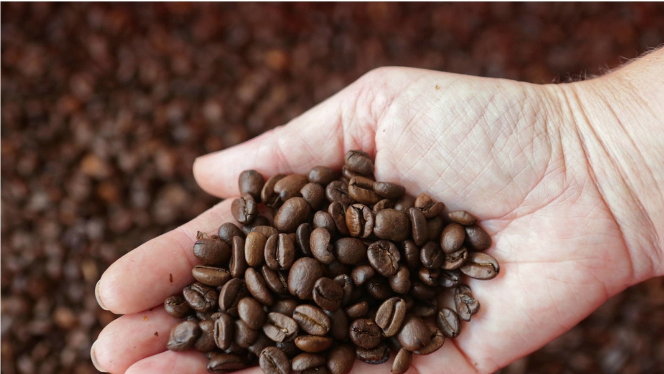 Los precios del café alcanzan su nivel más alto desde 1972
