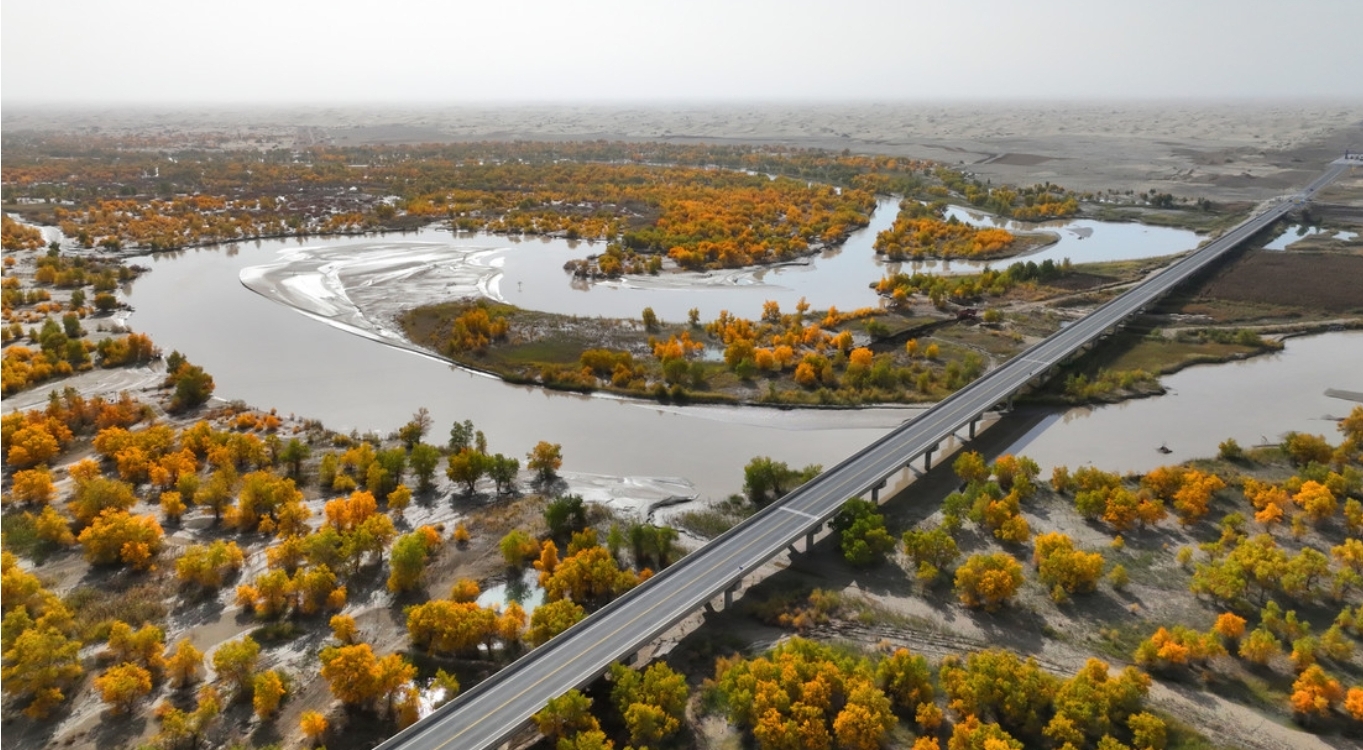 China rodea su mayor desierto con cinturón verde de más de 3.000 kilómetros