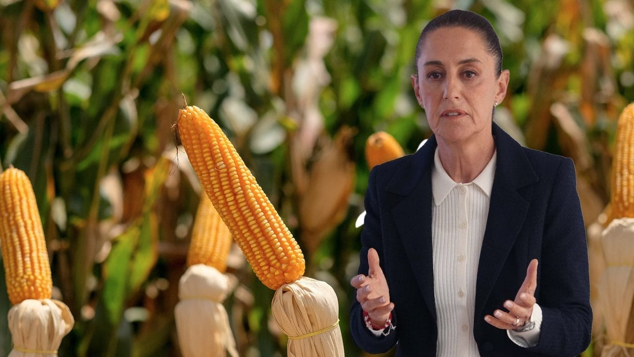 México asegura que le “dará la vuelta” al fallo en su contra sobre el uso de maíz transgénico