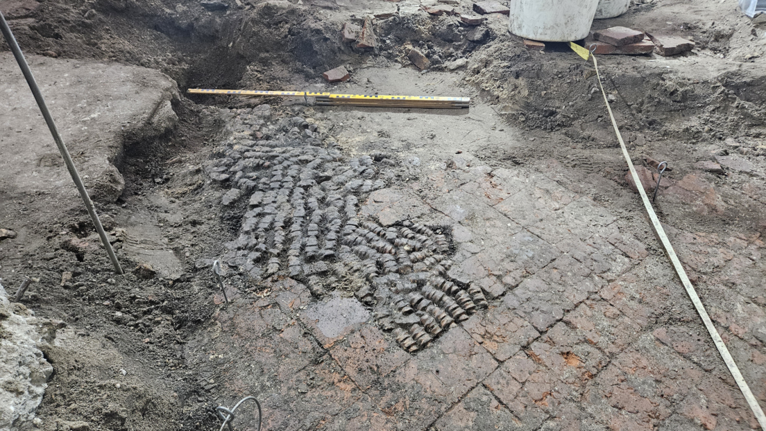 Descubren un suelo revestido de huesos en Holanda