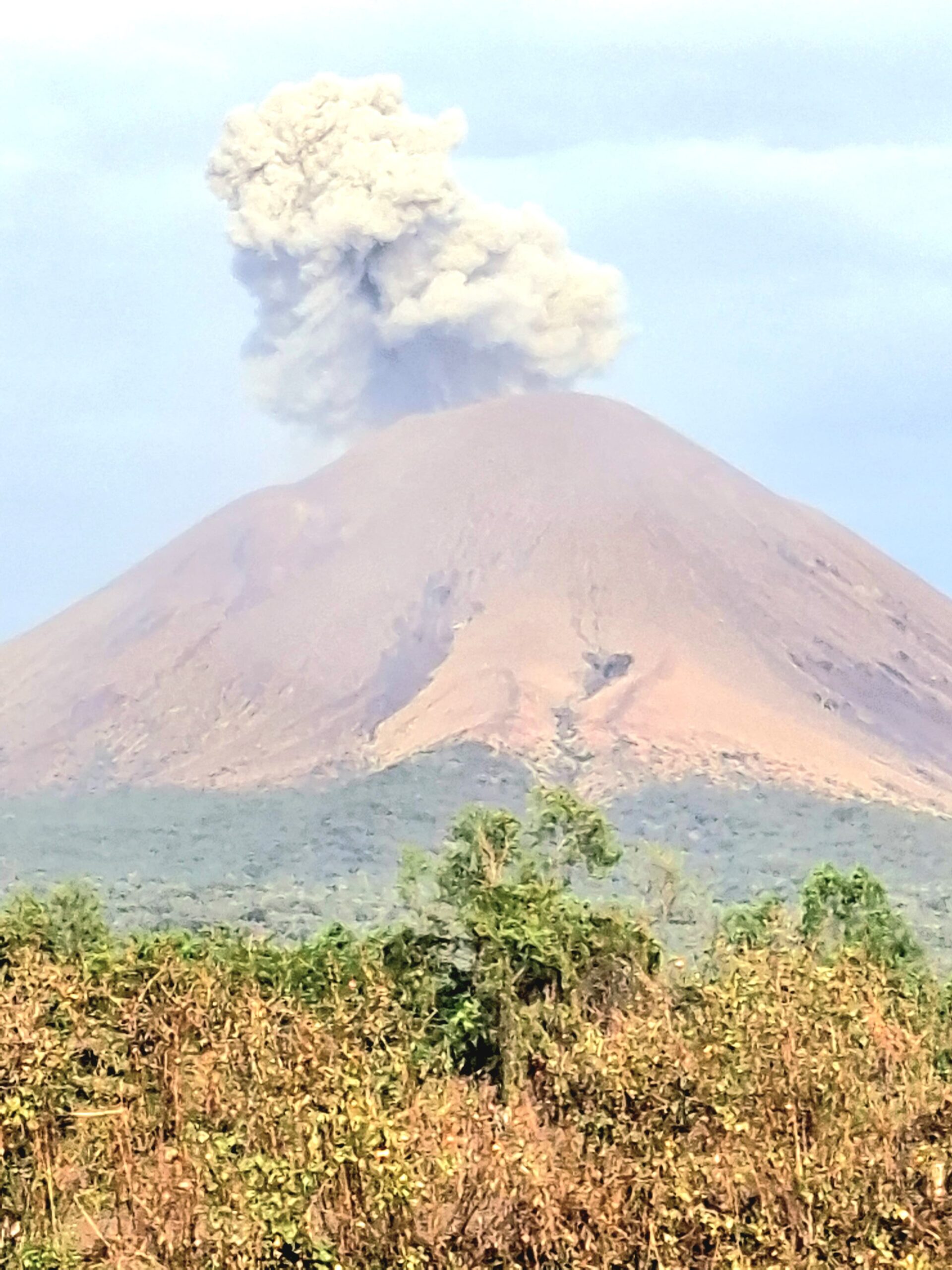 Pequeñas exhalaciones de gases y vapor de agua registra el Volcán Telica