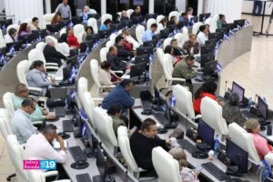 Constitución reforma deberes