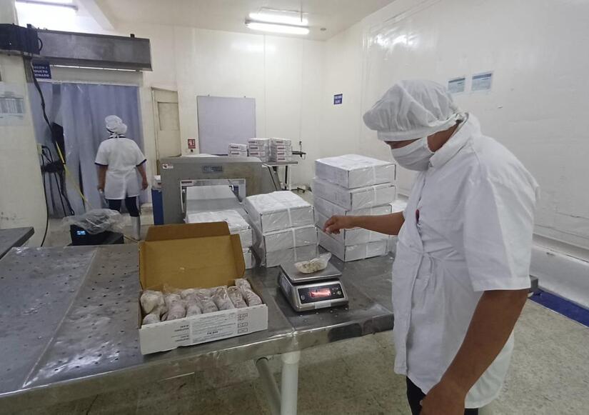 Inpesca 18 años labores