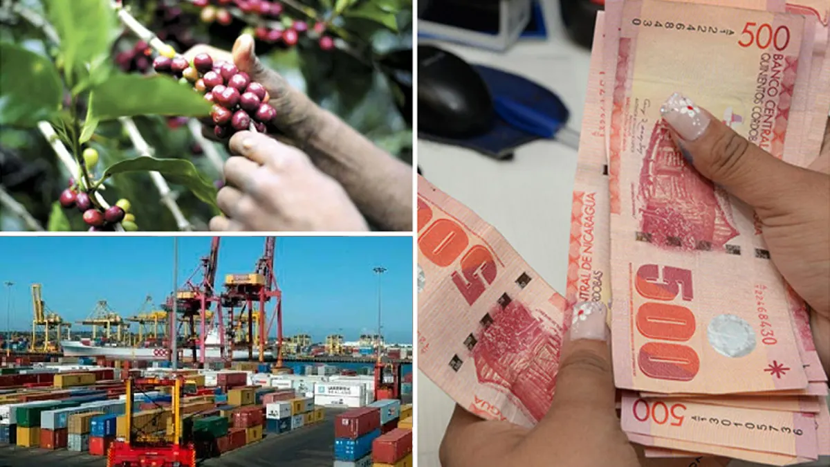 Economía nicaragüense creció sostenidamente en segundo semestre 2024
