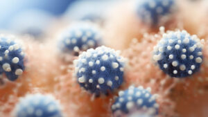 Nueva pandemia saltar humanos