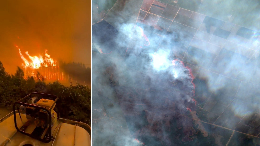 “Se está quemando todo”: Incendios forestales arrasan miles de hectáreas en el sur argentino